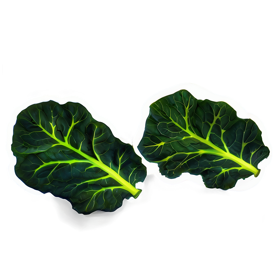 Collard Greens Icon Png Dws PNG Image