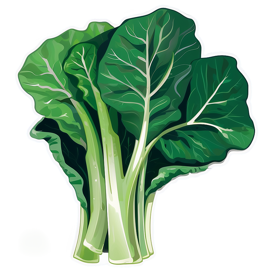 Collard Greens Illustration Png Myy87 PNG Image