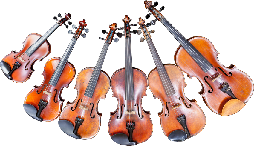 Collectionof Violins PNG Image