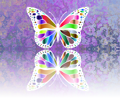 Colorful Abstract Butterfly Artwork PNG Image