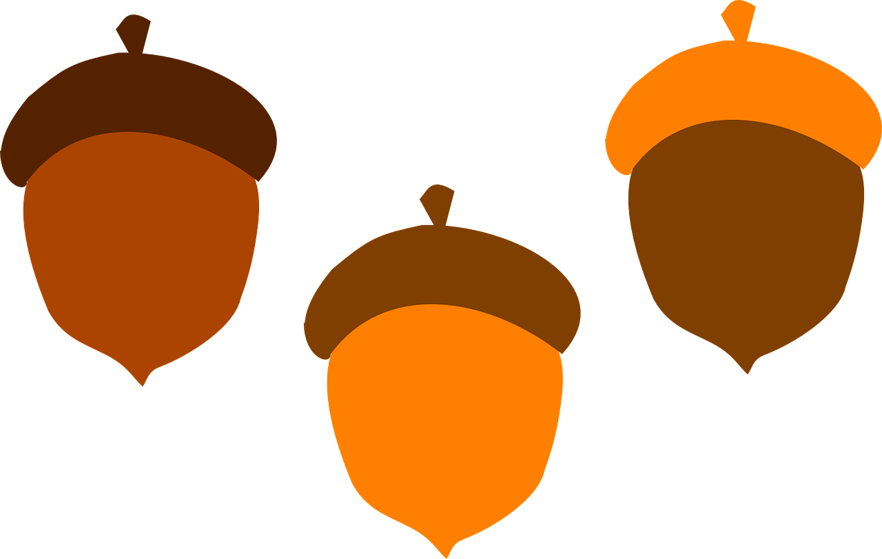 Colorful Acorn Trio PNG Image