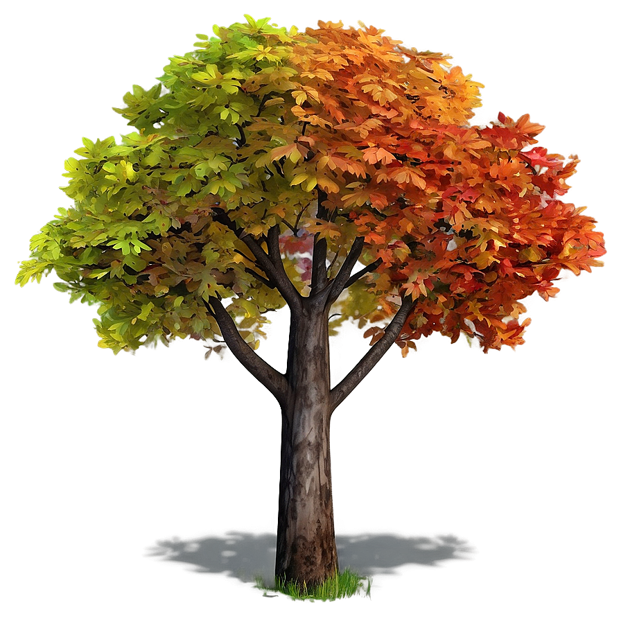 Colorful Autumn Tree Png Uoa PNG Image