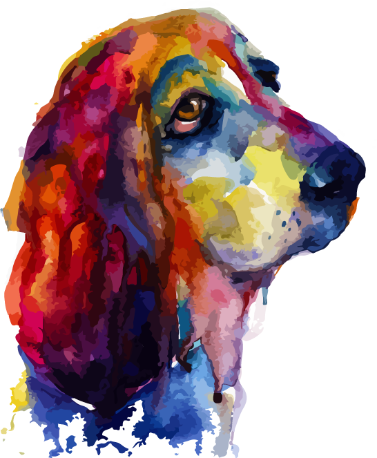 Colorful Basset Hound Portrait PNG Image