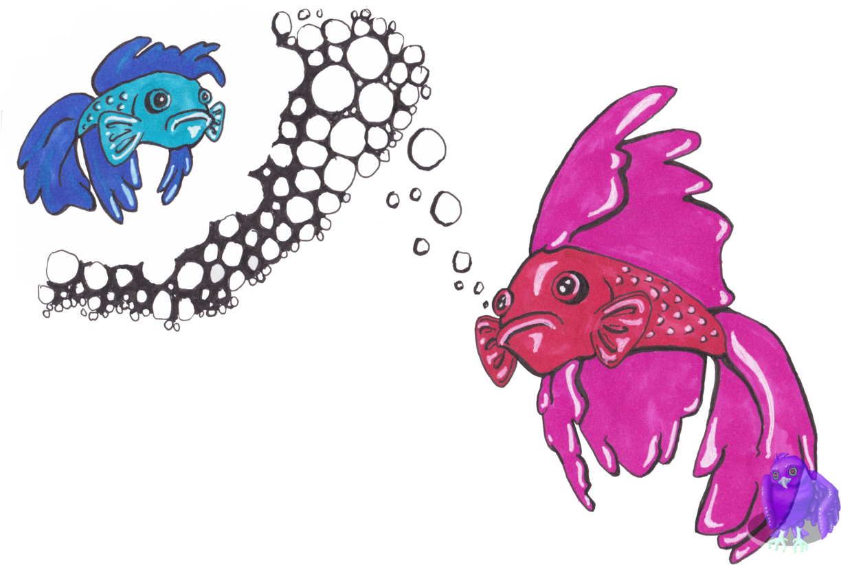 Colorful Betta Fish Artwork PNG Image