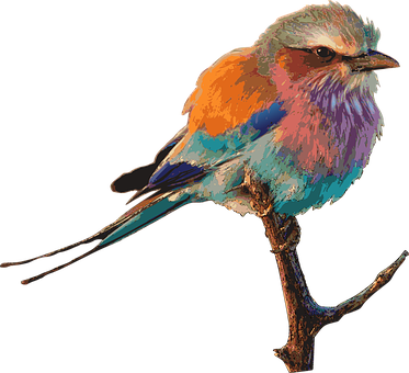 Colorful Bird Illustration PNG Image