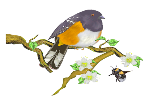 Colorful_ Bird_on_ Branch_with_ Flowers_and_ Insect PNG Image