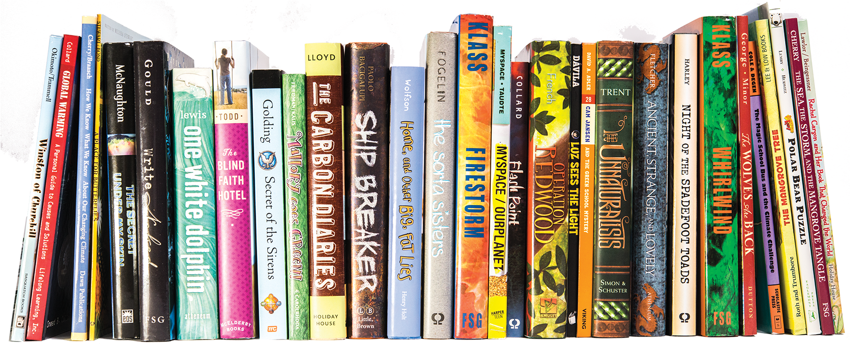 Colorful Book Spine Collection PNG Image