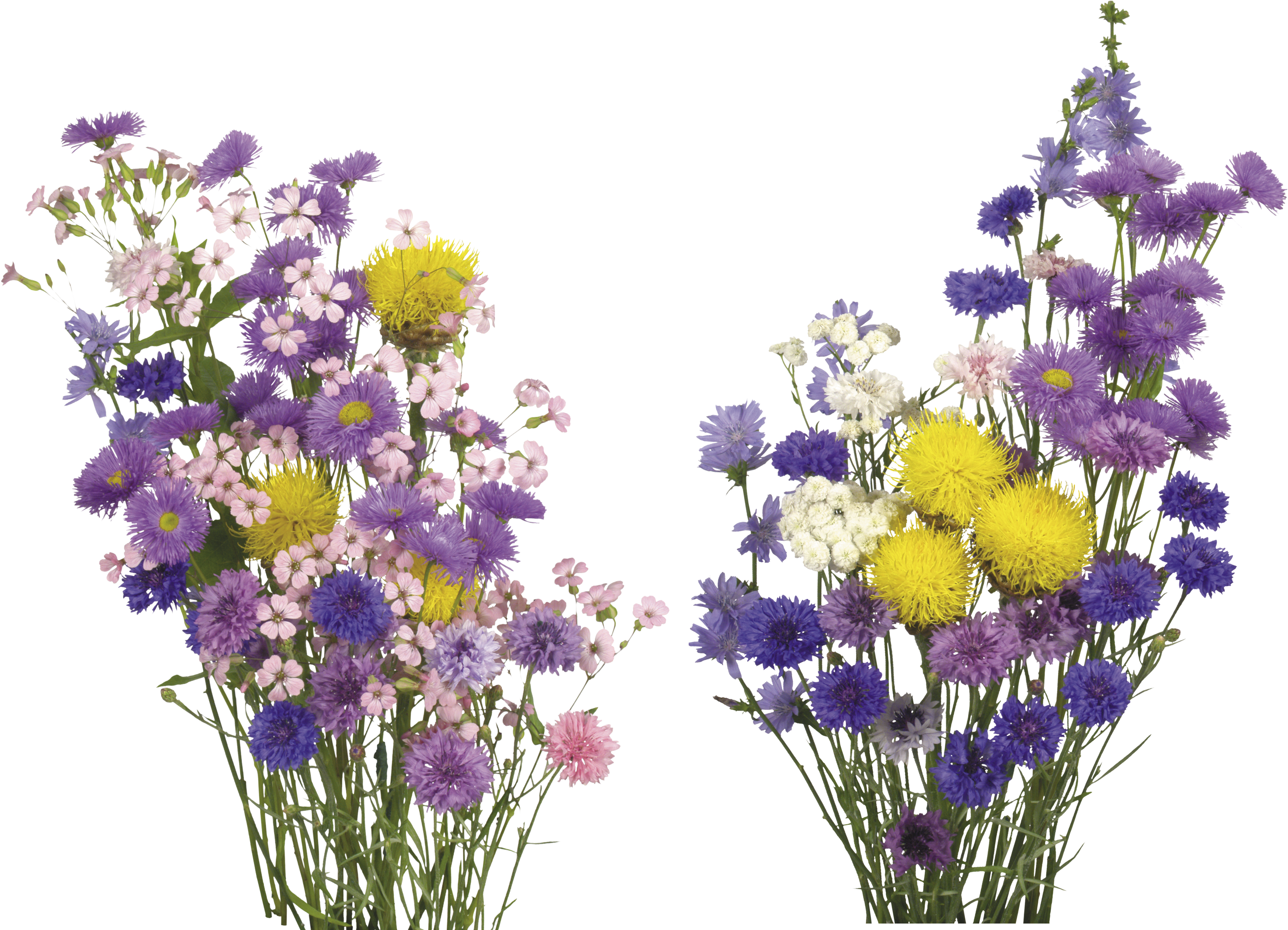 Colorful Bouquet Transparent Background PNG Image