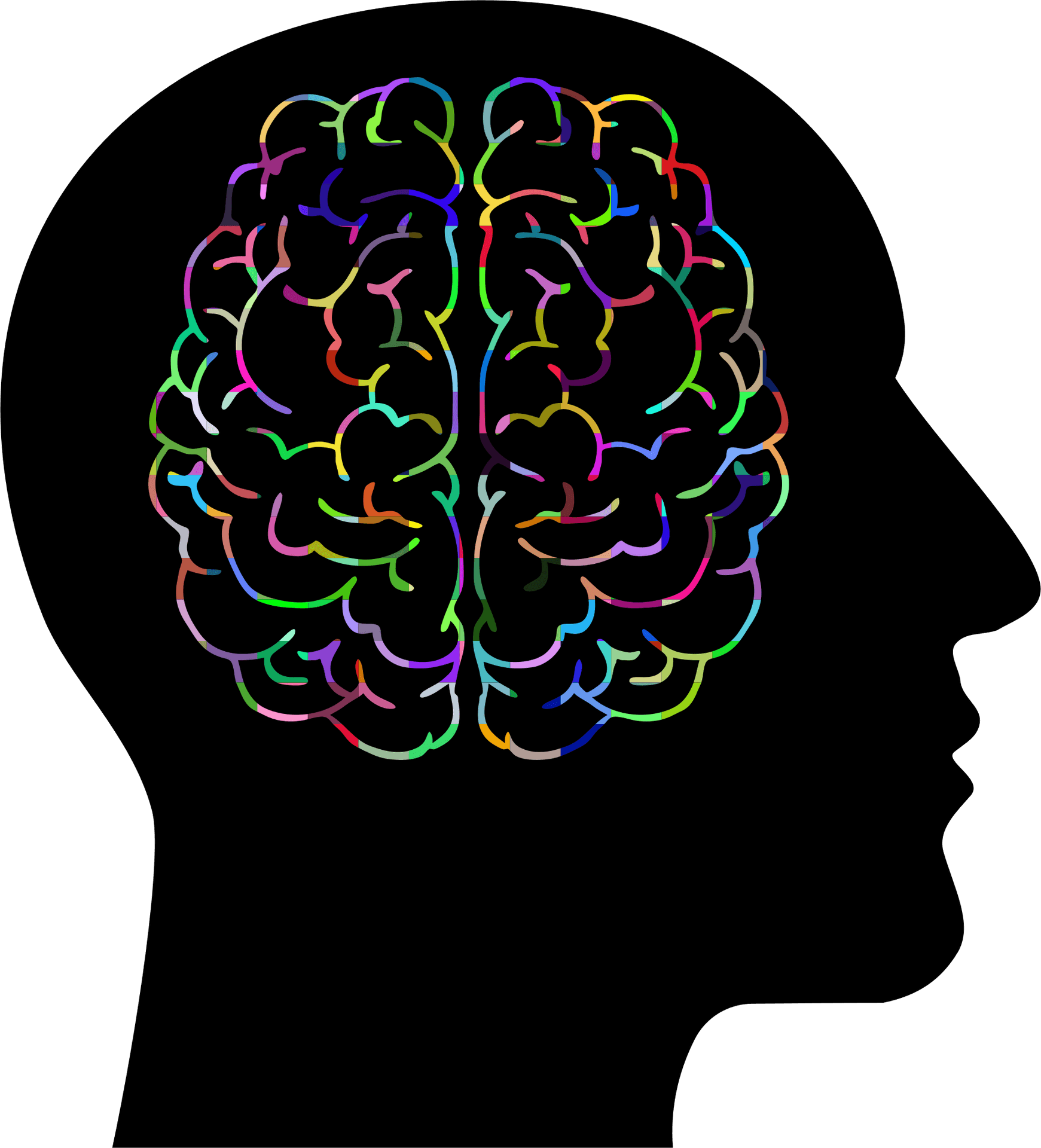 Colorful Brain Silhouette Clipart PNG Image