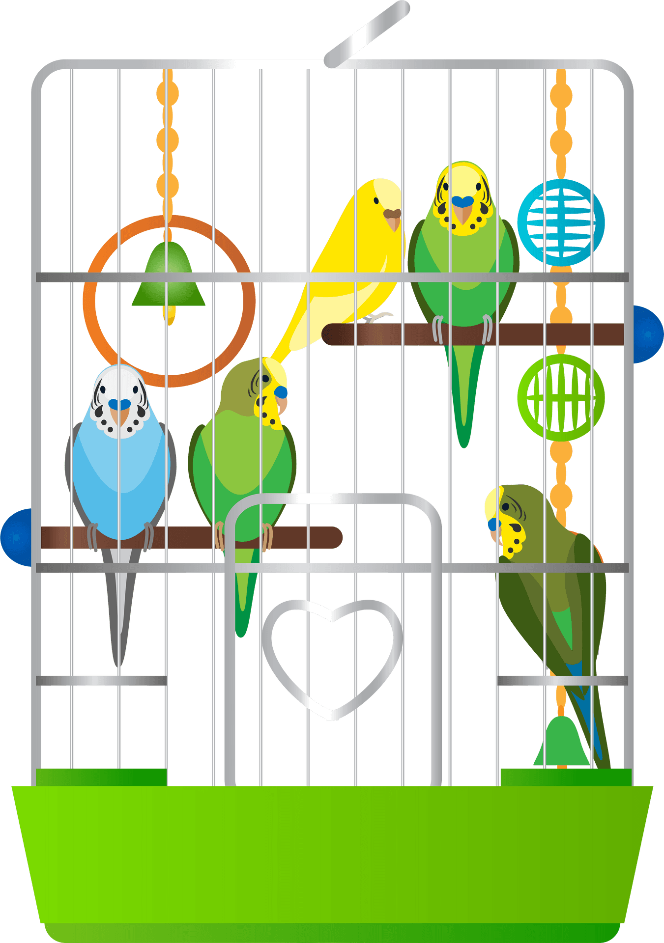 Colorful Budgerigarsin Cage PNG Image