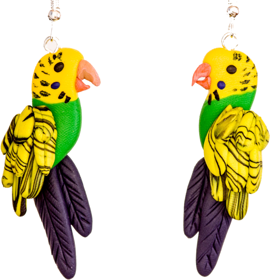 Colorful Budgie Earrings Transparent Background PNG Image