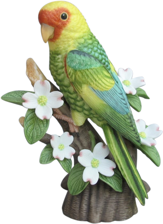 Colorful Budgie On Floral Perch.png PNG Image