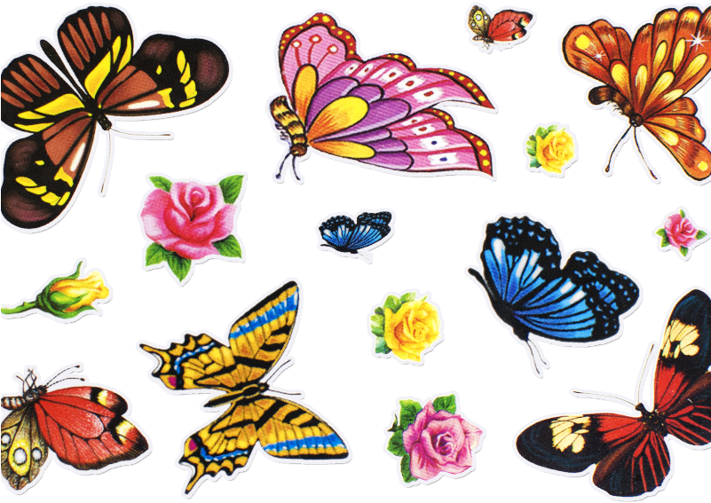 Colorful Butterfliesand Flowers Stickers PNG Image