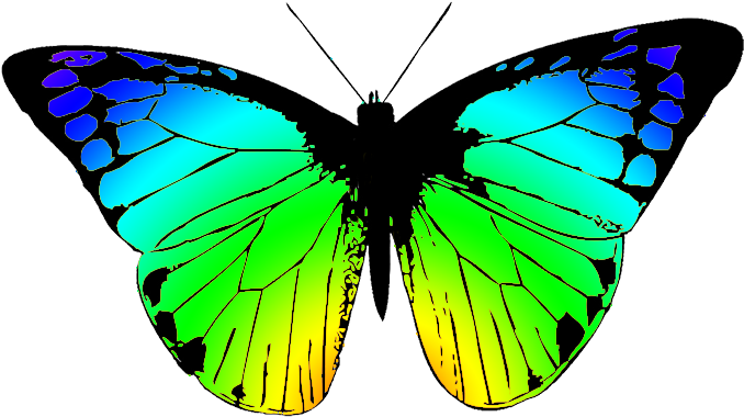 Colorful Butterfly Illustration PNG Image