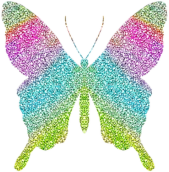 Colorful Butterfly Wing Artwork PNG Image