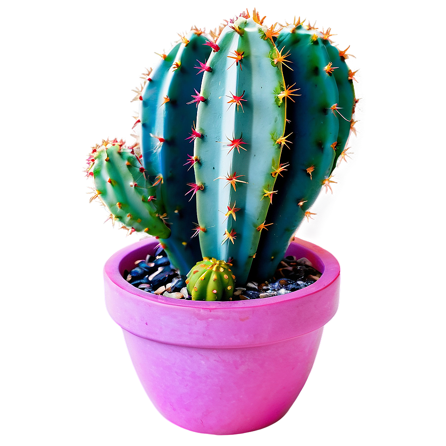 Colorful Cactus Png 10 PNG Image