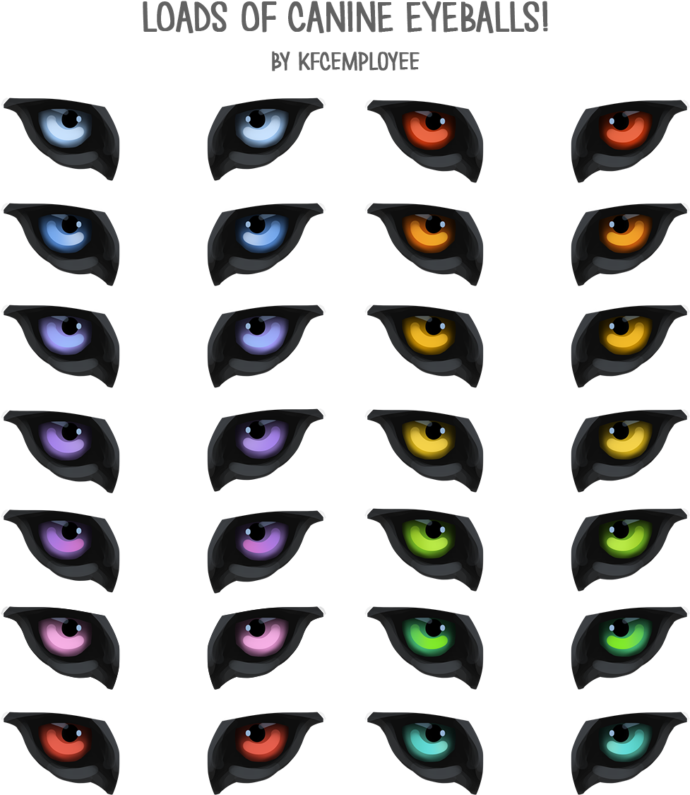 Colorful_ Canine_ Eyes_ Collection PNG Image