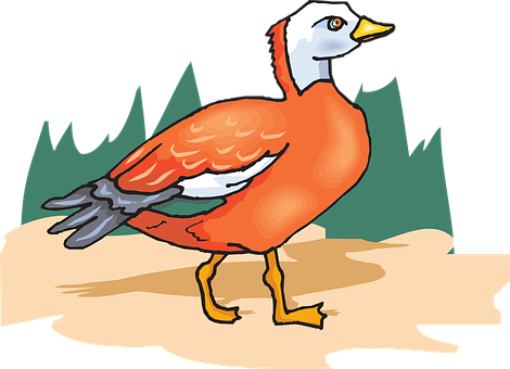 Colorful Cartoon Bird Illustration PNG Image