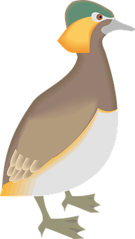 Colorful Cartoon Bird Illustration PNG Image