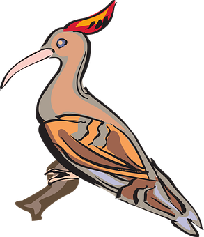 Colorful Cartoon Hoopoe Bird PNG Image