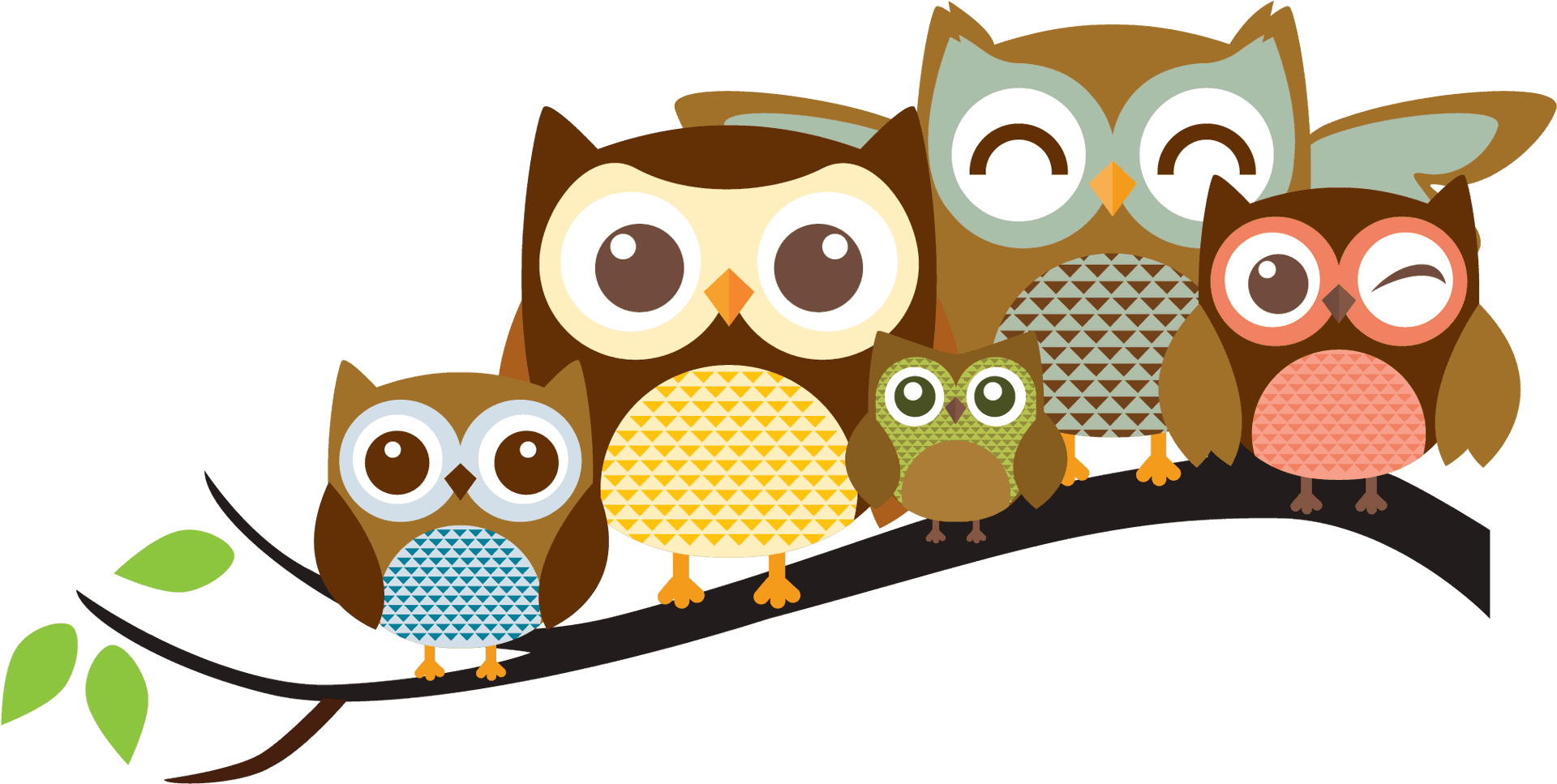 Colorful Cartoon Owls Branch PNG Image