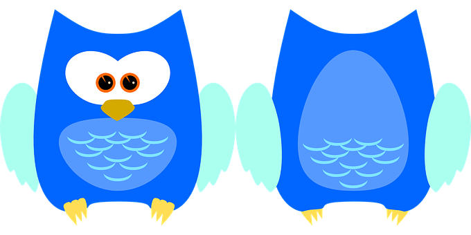 Colorful Cartoon Owls Illustration PNG Image