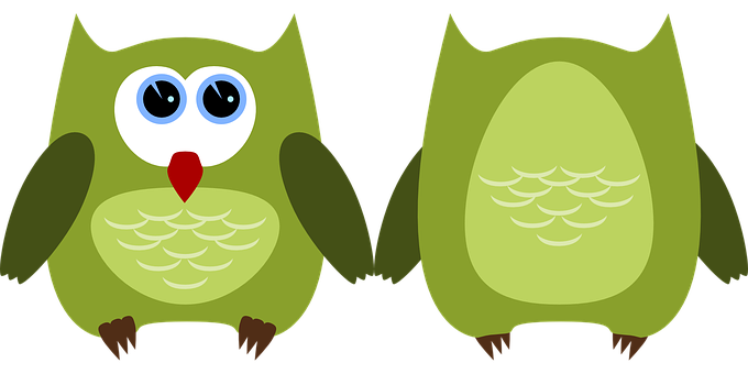 Colorful Cartoon Owls PNG Image