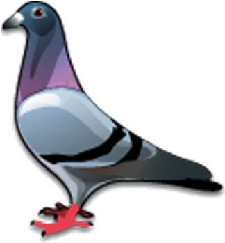 Colorful Cartoon Pigeon PNG Image