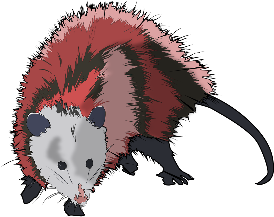 Colorful Cartoon Possum PNG Image