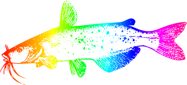 Colorful Catfish Illustration PNG Image