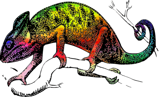 Colorful Chameleon Artwork PNG Image