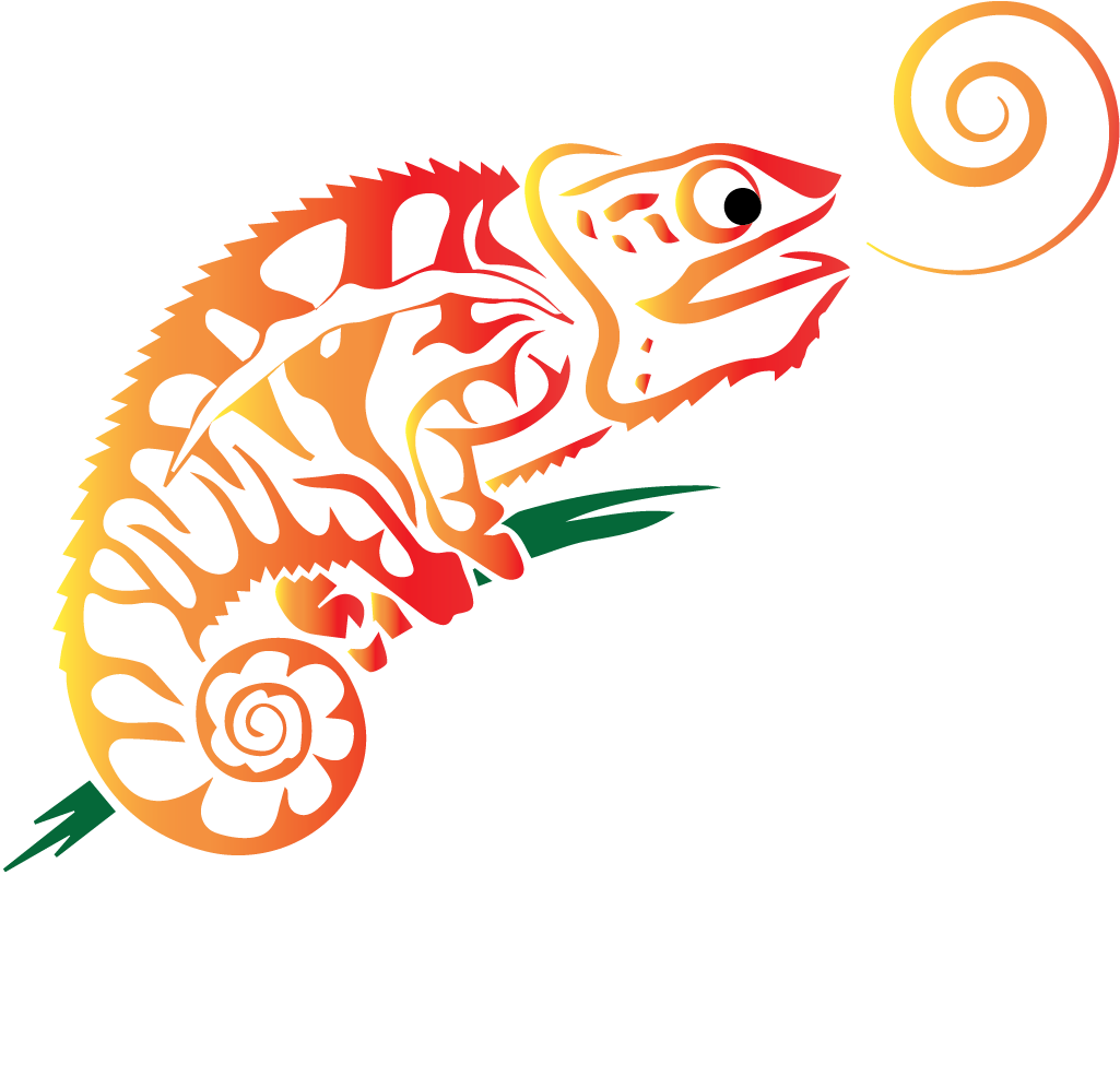 Colorful Chameleon Graphic Logo PNG Image