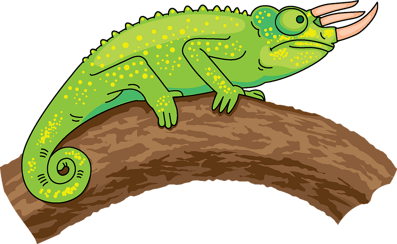 Colorful Chameleon Illustration PNG Image