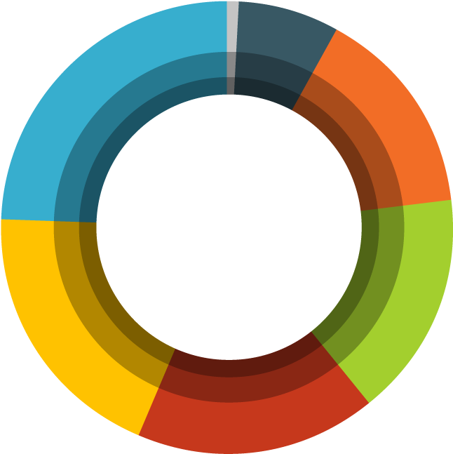 Colorful Circular Infographic Chart PNG Image