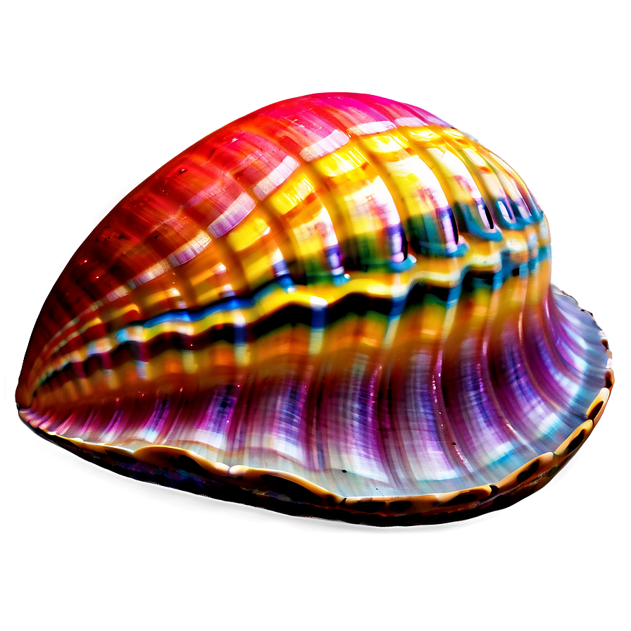 Colorful Clam Artwork Png 05242024 PNG Image