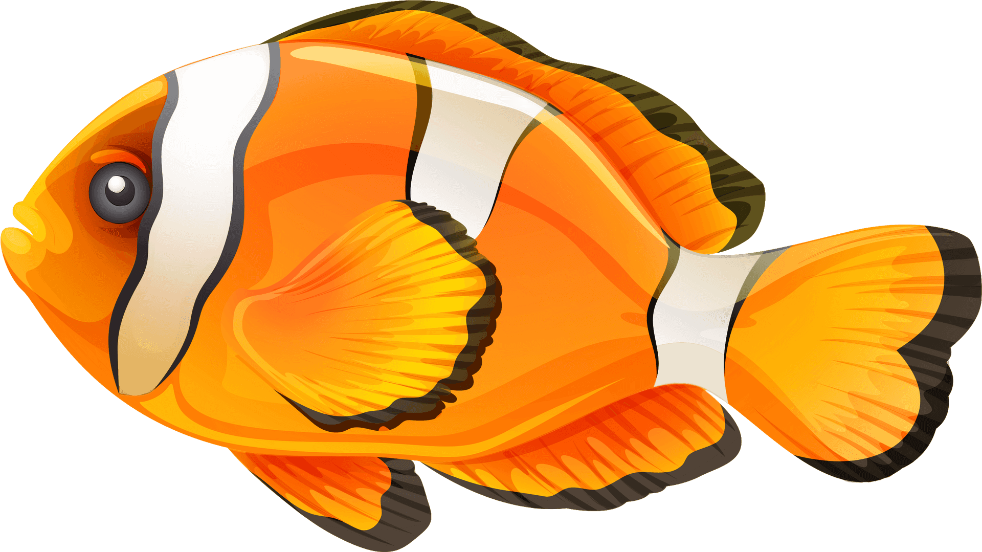 Colorful Clownfish Illustration PNG Image