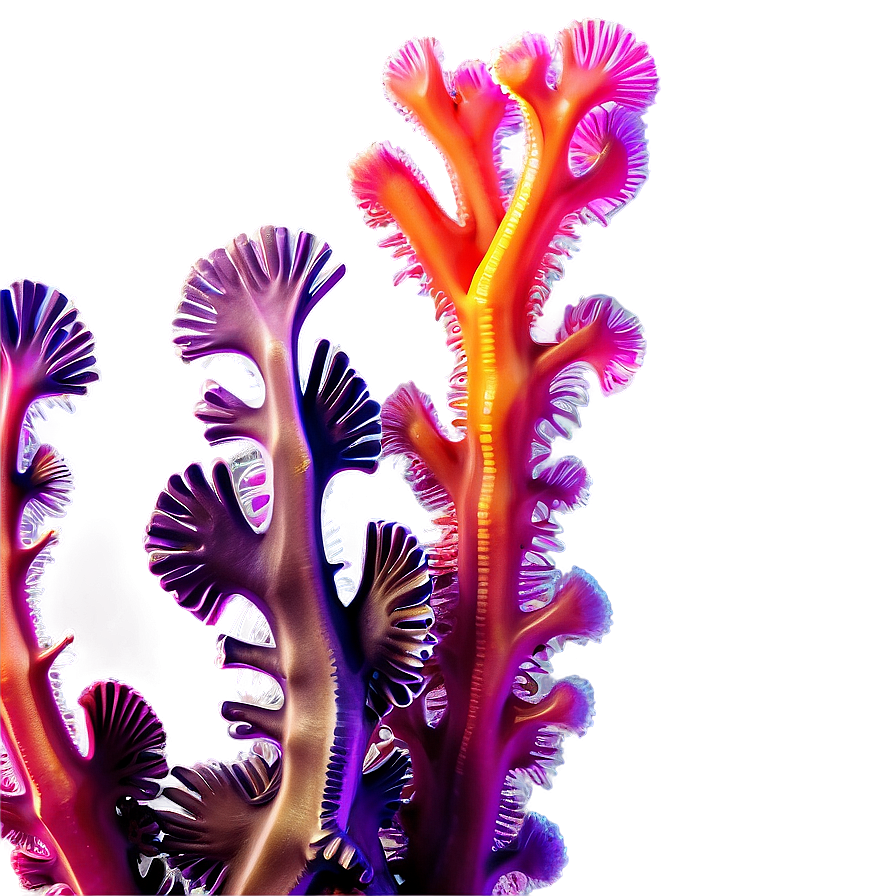 Colorful Coral Reef Seaweed Png Drw PNG Image