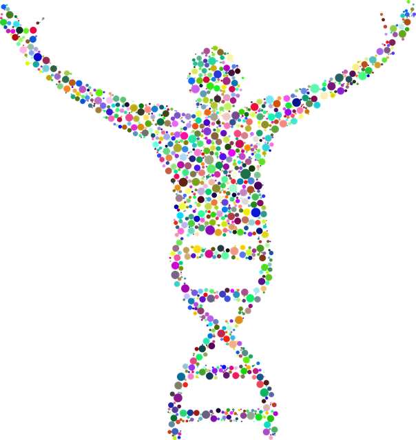 Colorful D N A Human Silhouette PNG Image