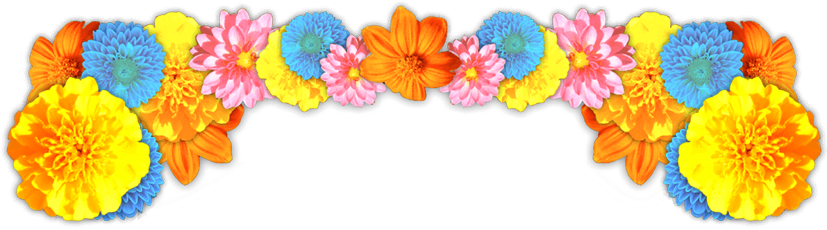 Colorful Dahlia Flower Border PNG Image