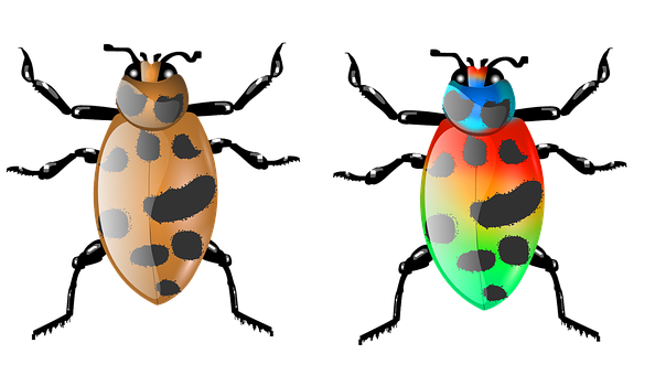 Colorful Digital Beetles Illustration PNG Image