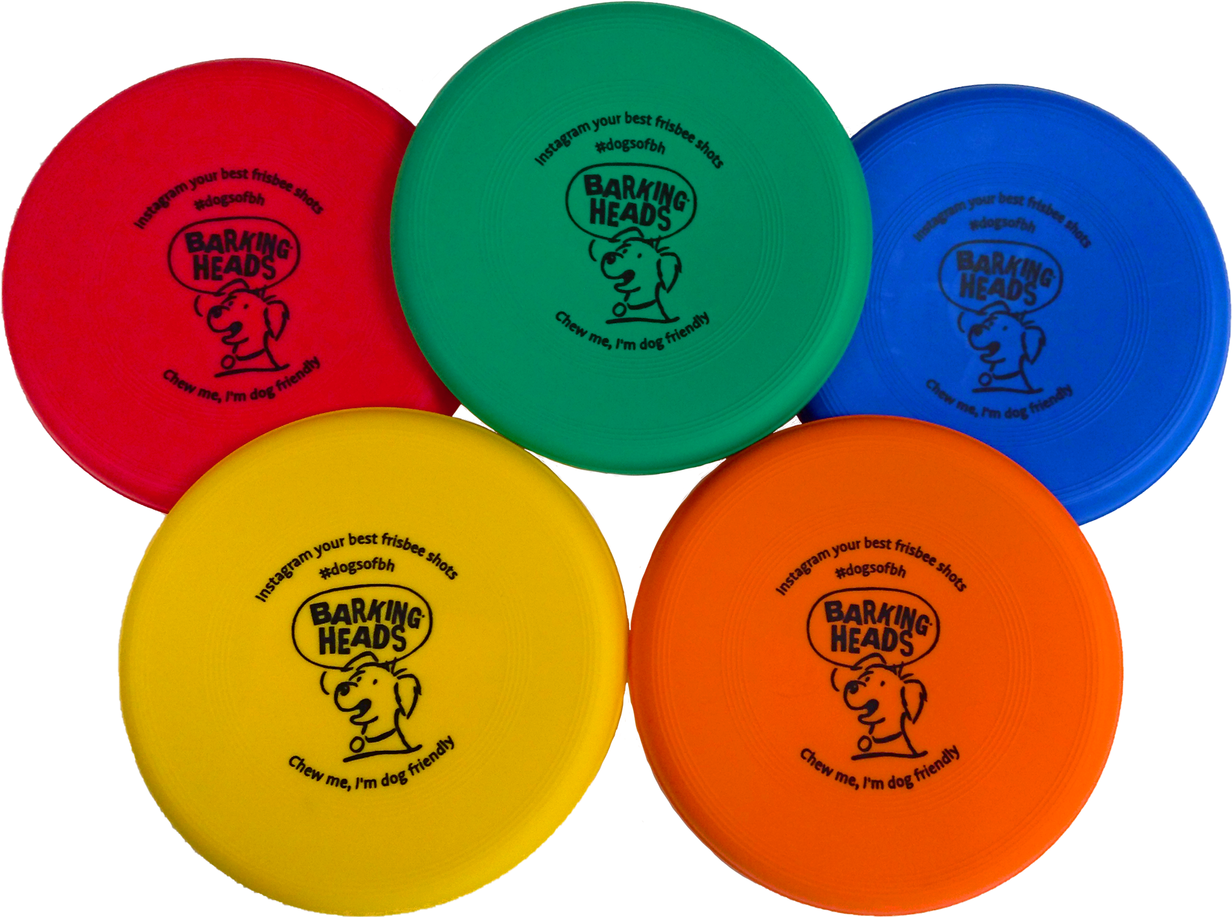 Colorful Dog Friendly Frisbees PNG Image