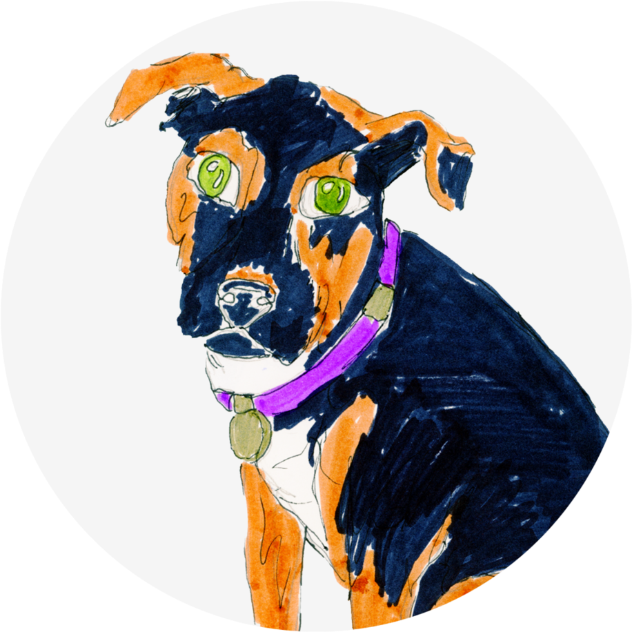 Colorful Dog Sketch Artwork PNG Image