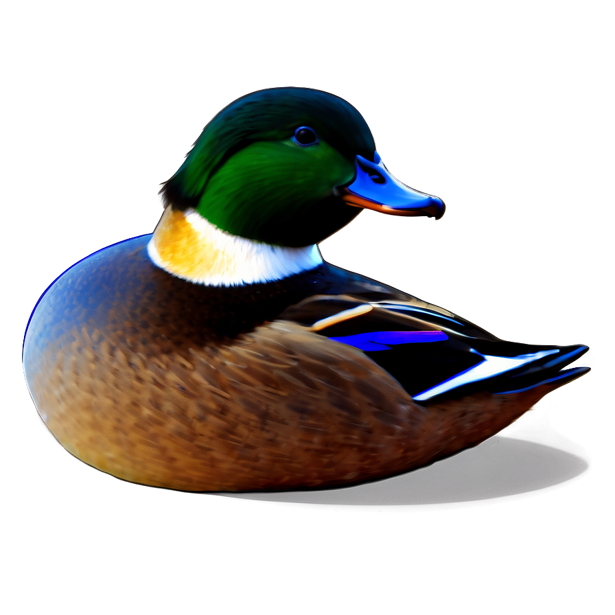 Colorful Duck Drawing Png 05032024 PNG Image