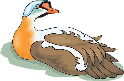 Colorful Duck Illustration PNG Image