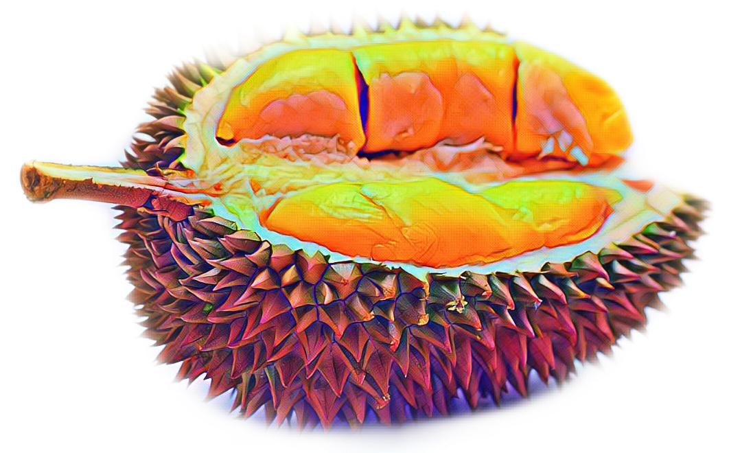 Colorful Durian Fruit Sliced Open PNG Image