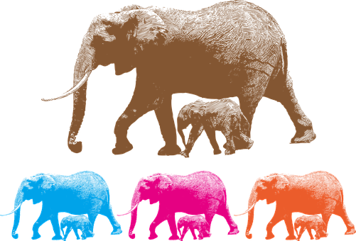 Colorful Elephant Family Silhouettes PNG Image