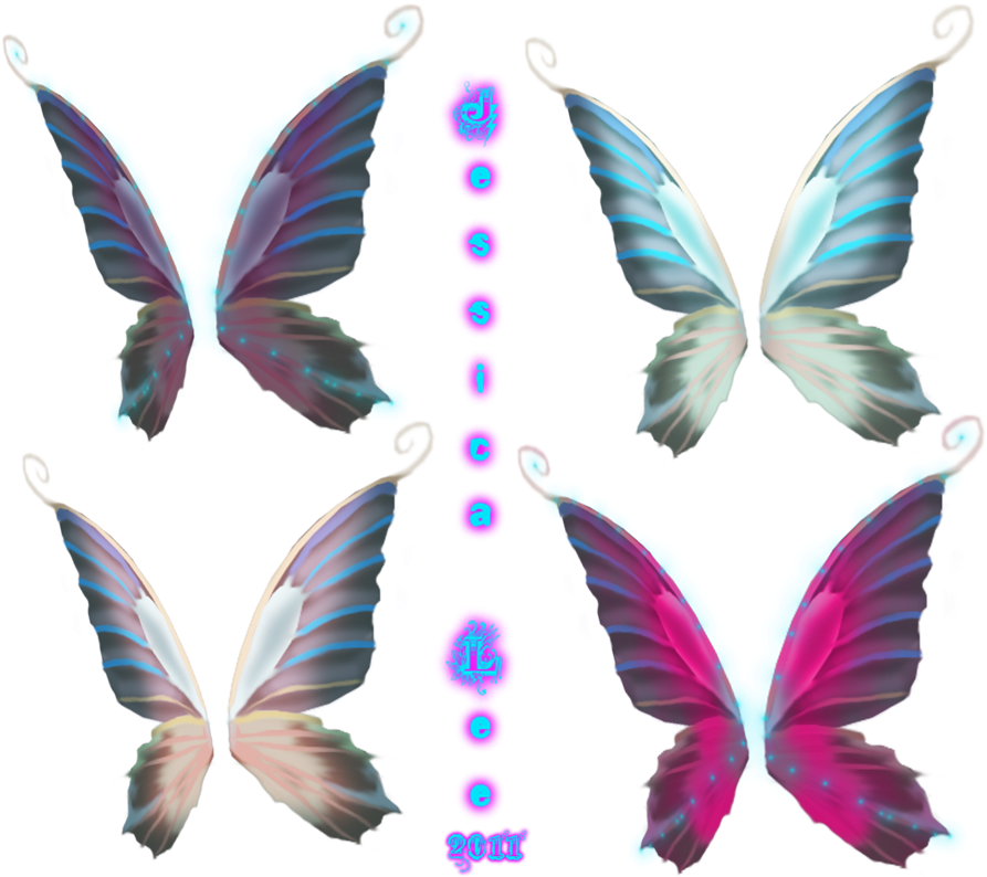 Colorful_ Fairy_ Wings_ Collection_2011 PNG Image