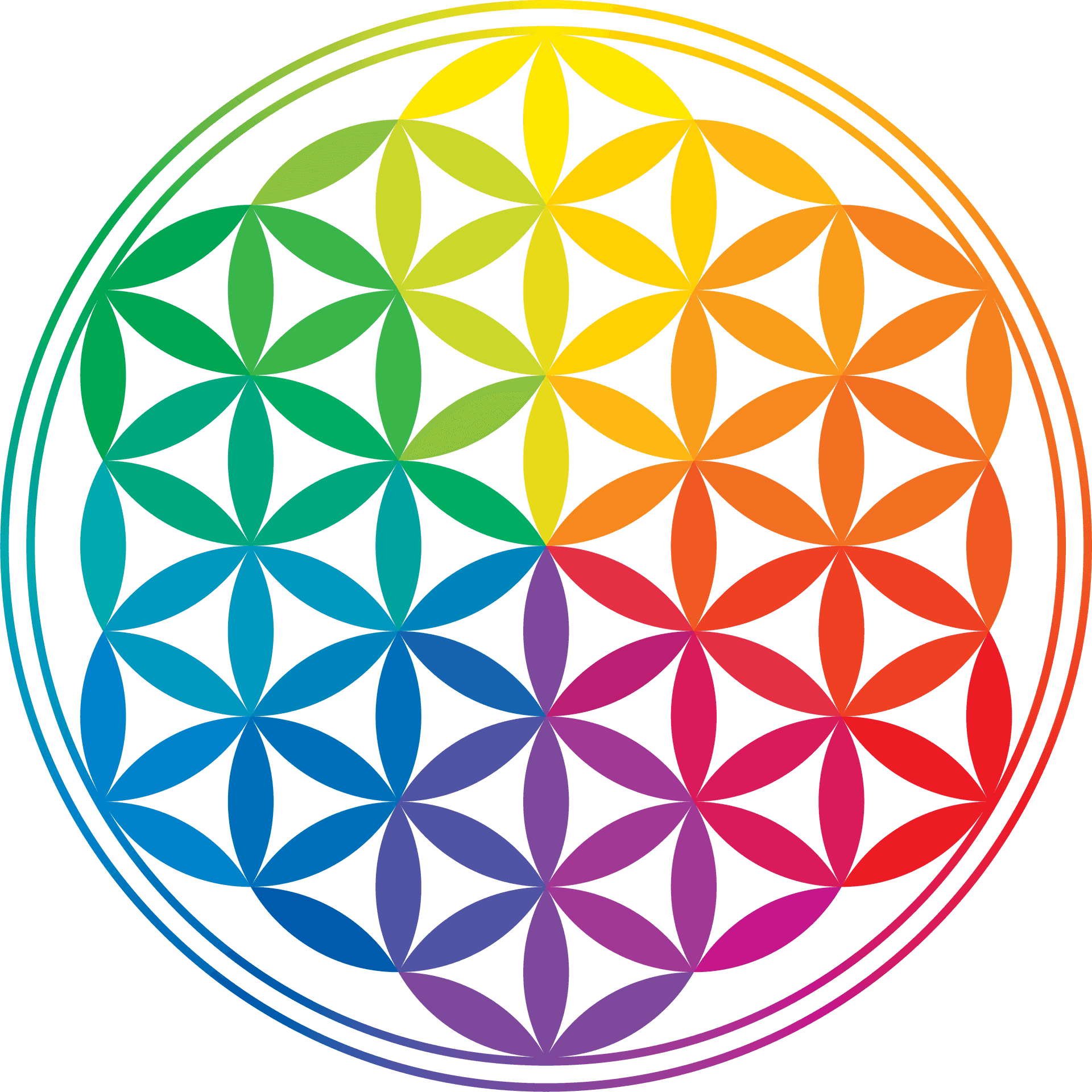 Colorful Flowerof Life Pattern PNG Image