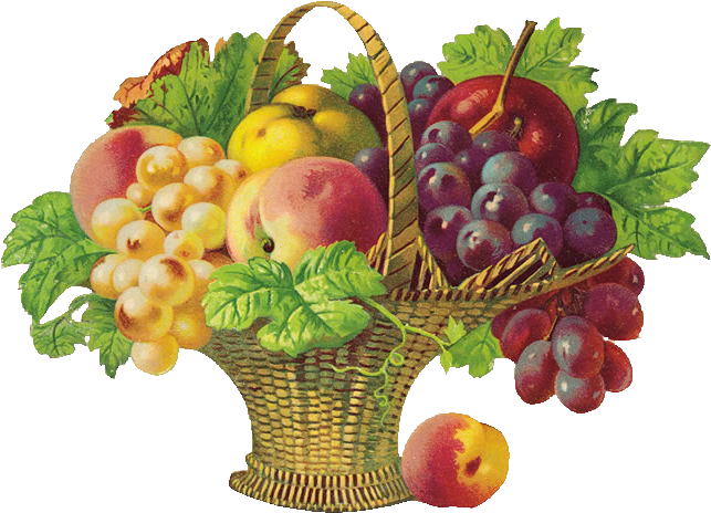 Colorful Fruit Basket Illustration PNG Image