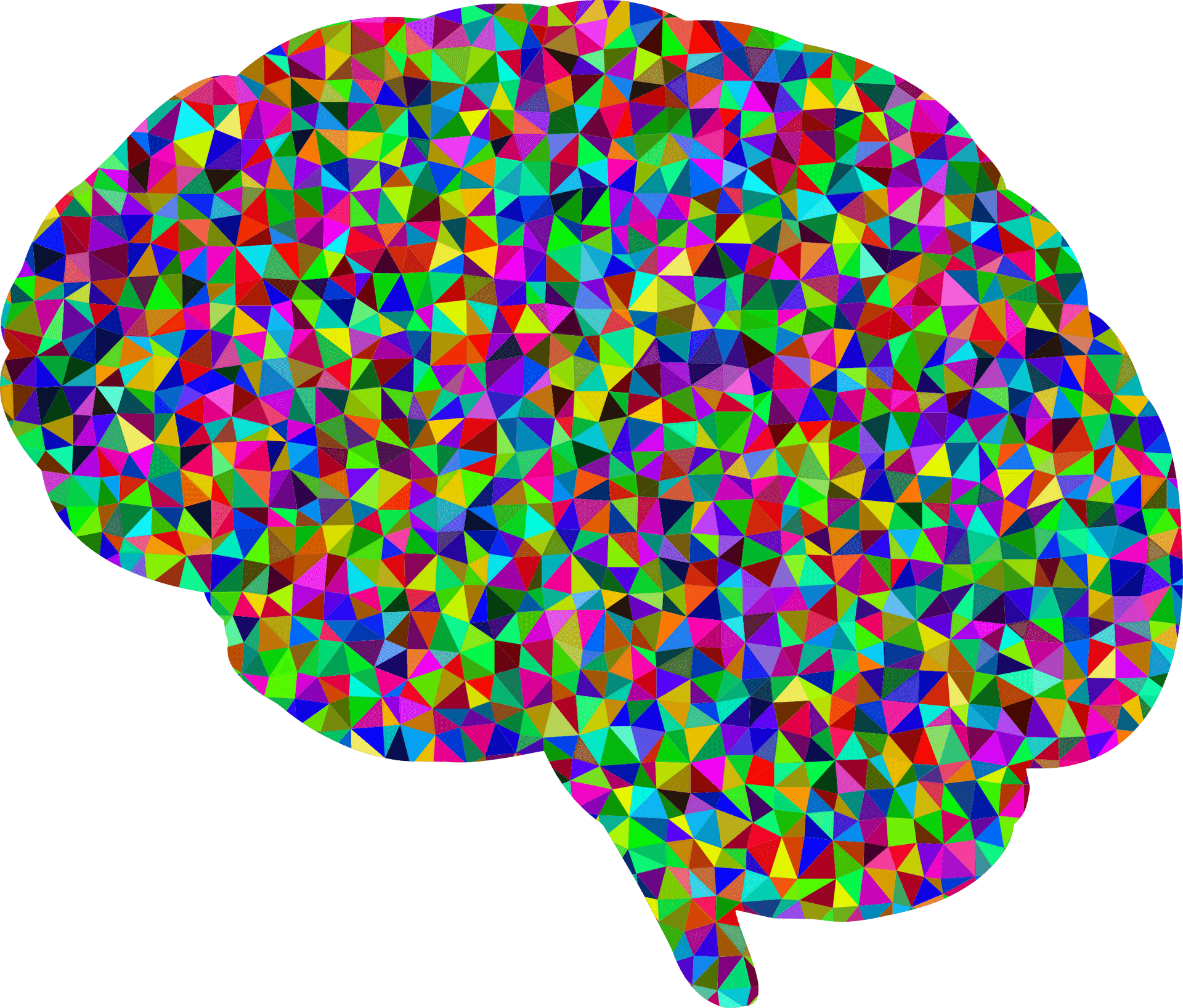 Colorful Geometric Brain Pattern PNG Image